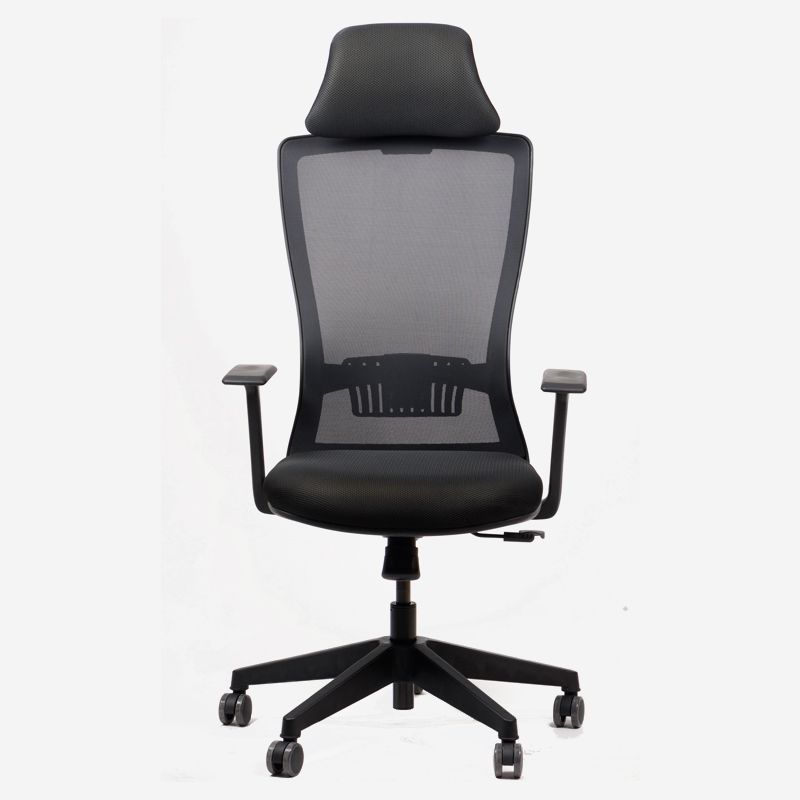 Arya Ergonomic Mesh Task Chair