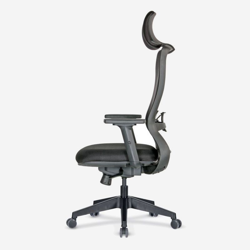 Arya Ergonomic Mesh Task Chair with Adjustable Arms
