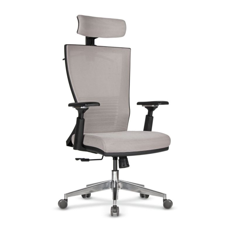 HANGER - Ergonomic Executive Task Chair With Aluminum Leg