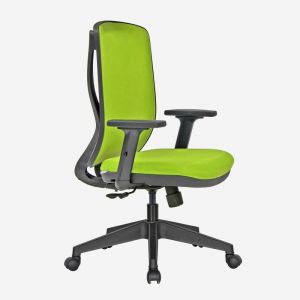 Task Chair with Height Adjustable Arms - Otto