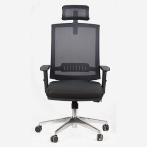 Moon Executive Mesh Office Chair