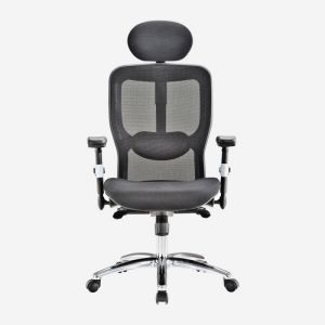 Omega Executive Chair with Adjustable Arms and Headrest