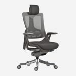 Wau Mesh Executive Chair with Headrest and Lumbar Support
