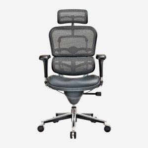 Enjoy Mesh Task Chair with Headrest