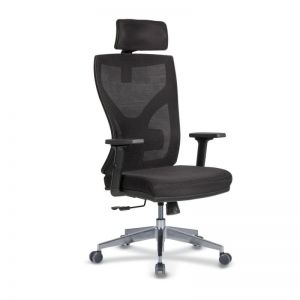 LENOVA - Mesh Executive Chair with Headrest