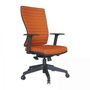 LENOVA -  Working Chair With Synchron Mechanism and Plastic Leg