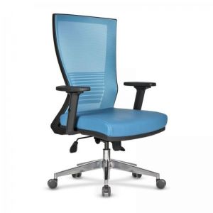 Tiffany - Mesh Working Chair with Adjustable Arms