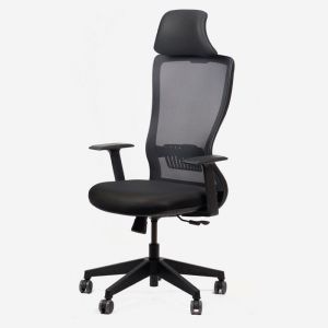 Arya Ergonomic Mesh Task Chair