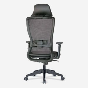 Arya Ergonomic Mesh Executive Chair with Adjustable Arms