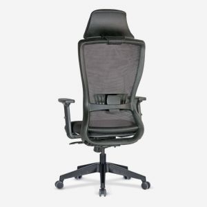 Arya Ergonomic Mesh Task Chair with Adjustable Arms