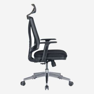 Bella Ergonomic Task Chair with Headrest