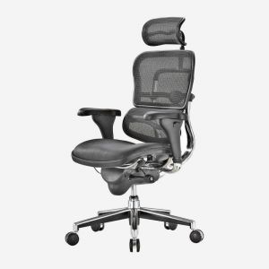 Enjoy Mesh Task Chair with Headrest