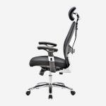 Omega Executive Chair with Adjustable Arms and Headrest