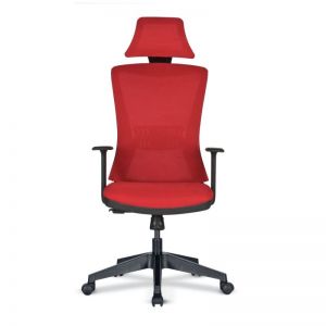 Fenix -  Executive Chair with Plastic Leg